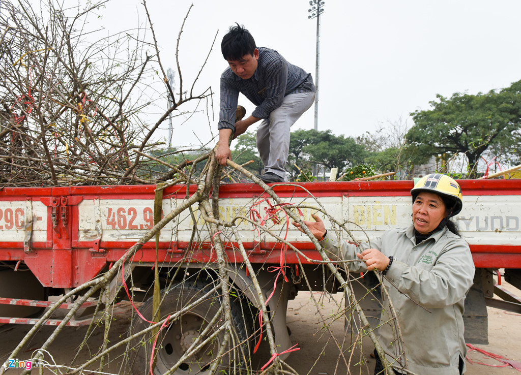 tieu thuong ha noi cung dap nat hoa dao de tranh bi ep gia