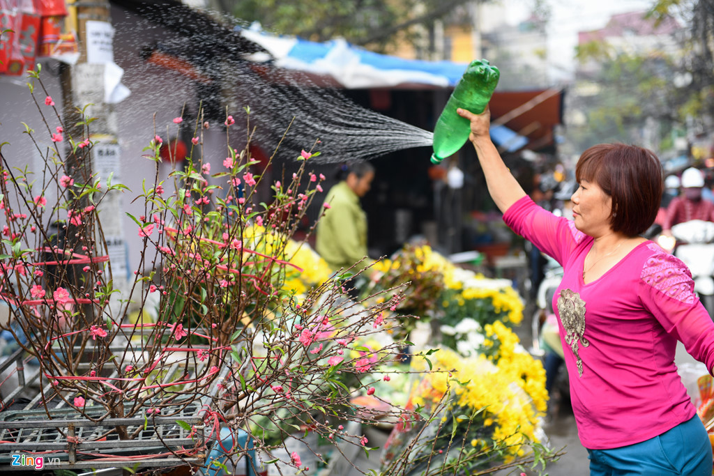 mam co xua nguoi ha noi ky cong tinh te trong sac huong