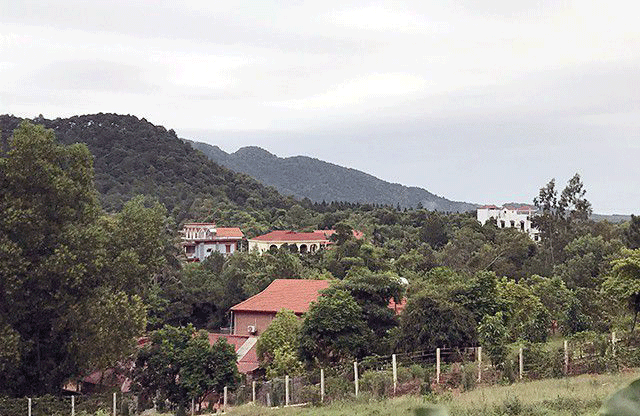 vi sao chua cong bo ket luan thanh tra dat rung soc son