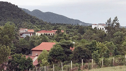 bo nong nghiep len ke hoach thanh tra 43 doanh nghiep trong nam 2019
