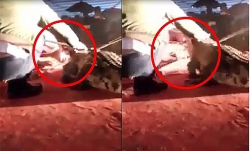 vu ca sau dop mat dau la nguyen nhan cua vu tai nan