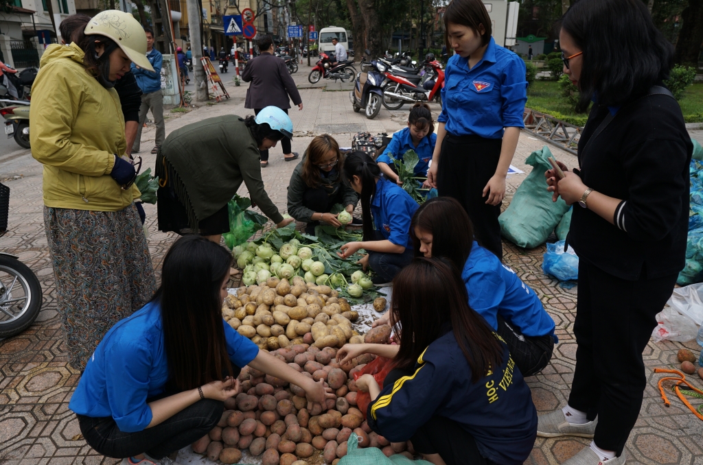 sau cu cai trang nguoi dan ha noi tiep tuc giai cuu su hao khoai tay