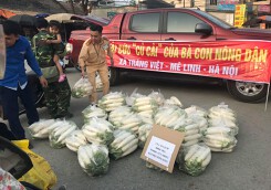 CSGT Hà Nội 'giải cứu' củ cải trắng rớt giá giúp người dân