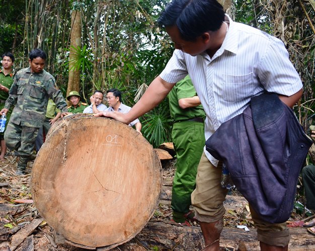 pho chu tich quang nam toi co cam giac nhu mau minh do xuong
