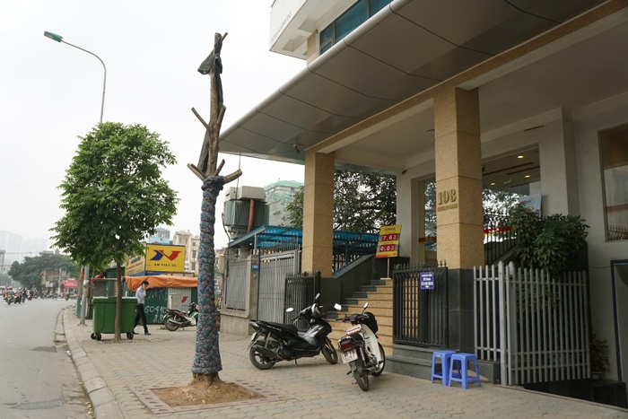 ha noi cay quan chan bong van khong thoat chet