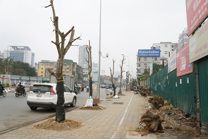ha noi cay quan chan bong van khong thoat chet