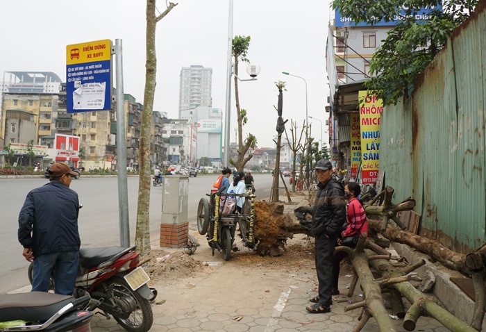 ha noi cay quan chan bong van khong thoat chet