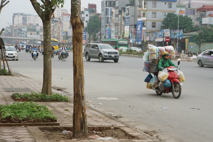ha noi cay quan chan bong van khong thoat chet
