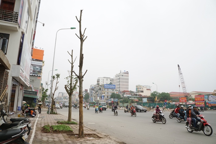 ha noi cay quan chan bong van khong thoat chet