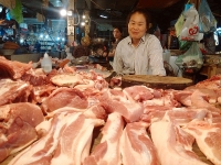 von 0 dong mo lon thue kiem tram trieu trong con bao lon mat gia
