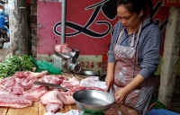 bon giai phap cap bach cuu gia thit lon cua bo cong thuong