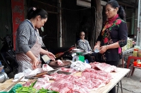 nuoc thai cua hang nghin con lon dang buc tu moi truong