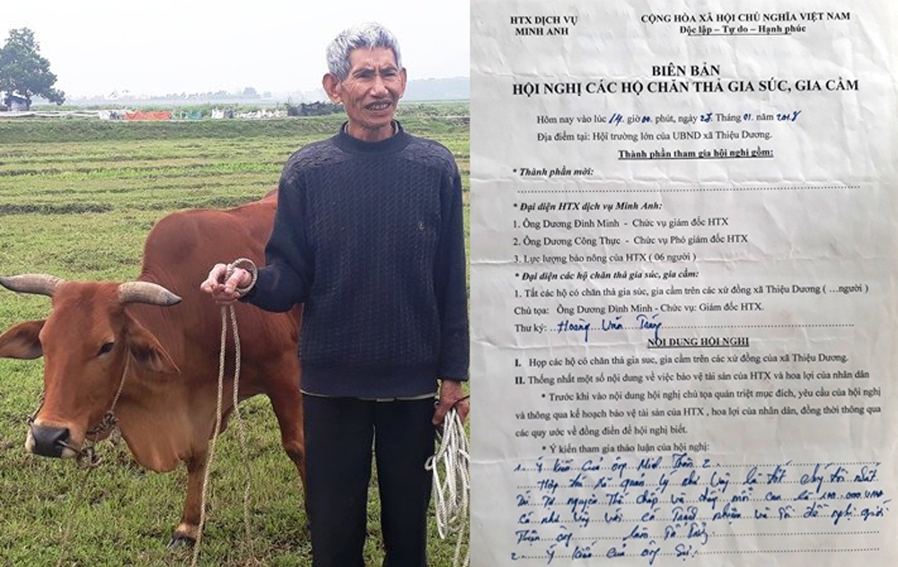 vu chan trau bo phai dong phi co ai phai chiu trach nhiem