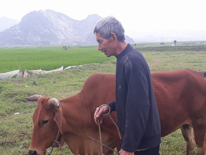 nguyen dbqh tinh thanh hoa len tieng vu chan trau bo phai dong phi co