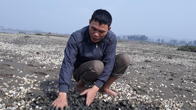 xot xa nhin 90 tan ngao bat ngo chet trang