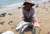 bo truong tnmt tran hong ha thu truong tai nguyen gom dat nong lam truong do o que kho khan