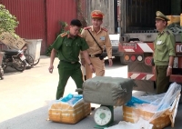 quan ly giet mo gia suc gia cam nhu cau tang noi lo tang