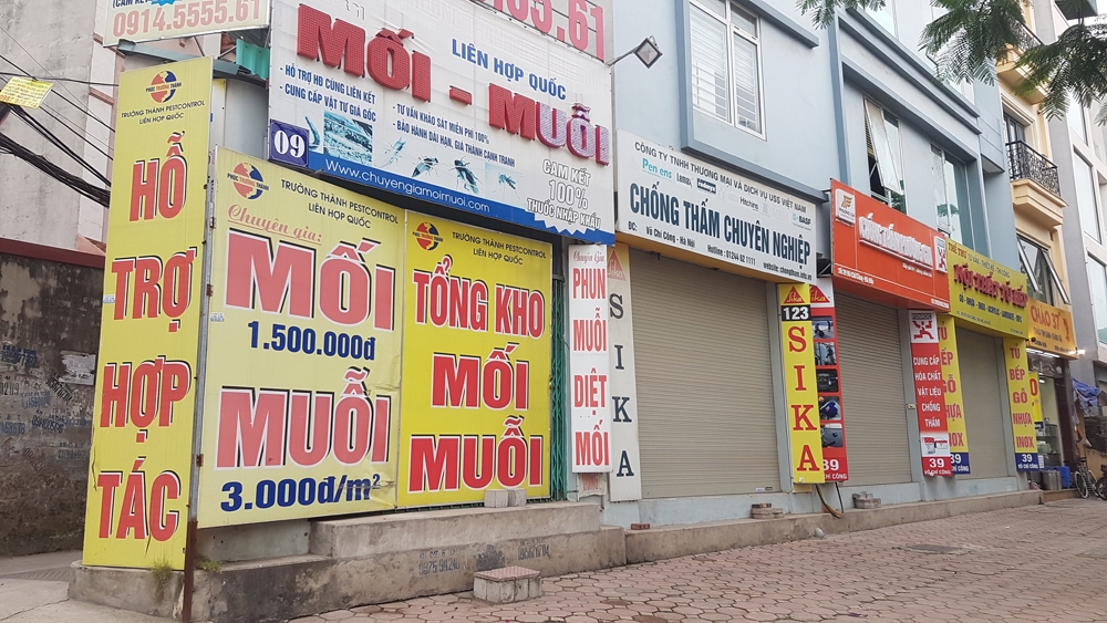 ha noi nha mong nhu dao cat nat my quan do thi