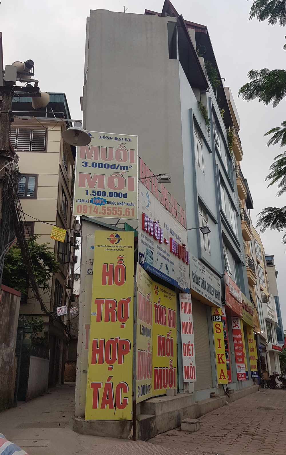 ha noi nha mong nhu dao cat nat my quan do thi