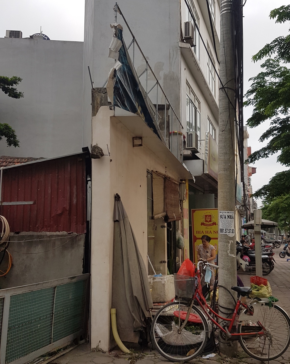 ha noi quyet xu ly nha sieu mong sieu meo van gia tang