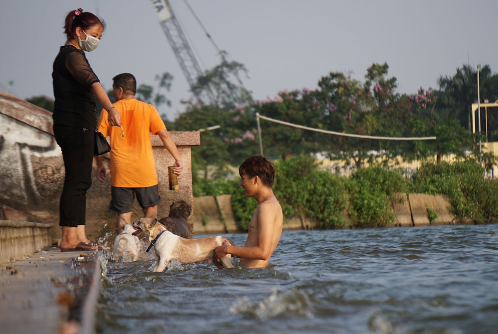nang nong nguoi ha noi va thu cung do xo tam ho tay giai nhiet