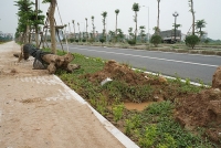 thong xe nua nam duong ngan ty tran huu duc van cho sang cho toi