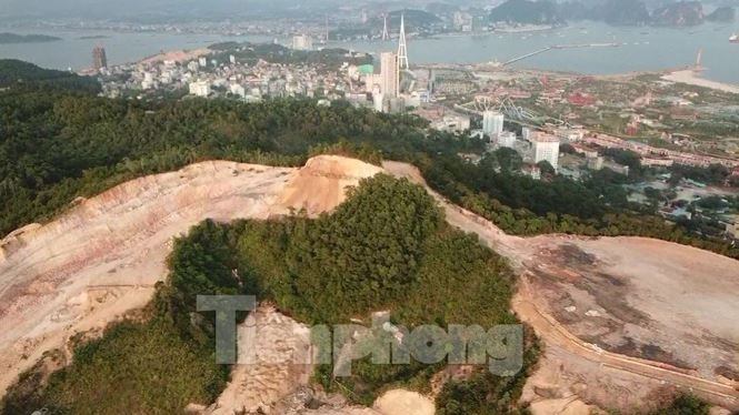 Tận thấy những ngọn đồi 'trọc đầu' vì dự án ở Hạ Long tan thay nhung ngon doi troc dau vi du an o ha long