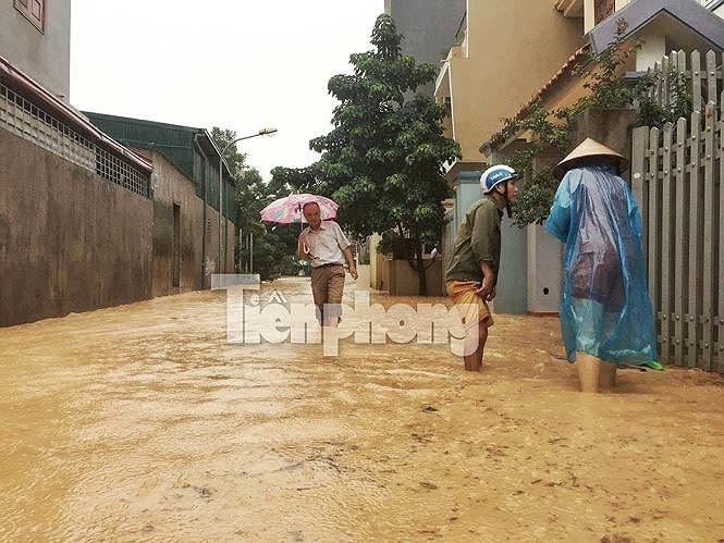 Tận thấy những ngọn đồi 'trọc đầu' vì dự án ở Hạ Long tan thay nhung ngon doi troc dau vi du an o ha long