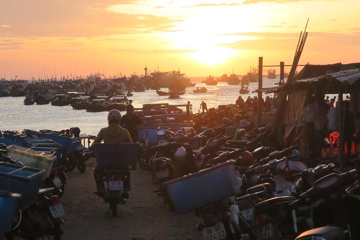 chum anh nhon nhip ben ca buoi rang dong tren dao phu quy