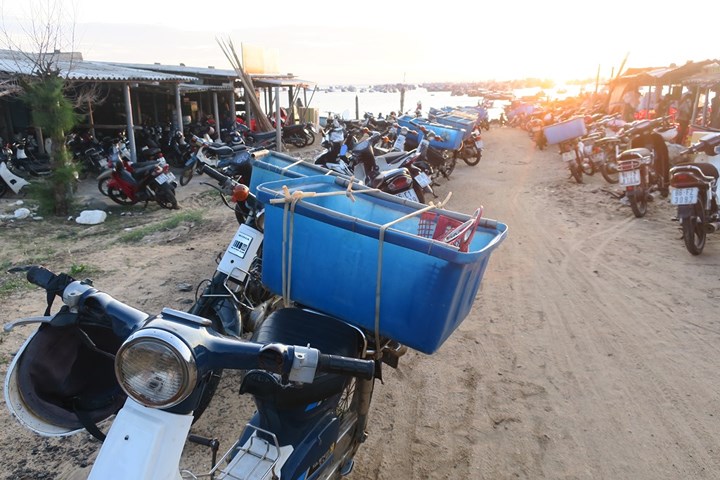 chum anh nhon nhip ben ca buoi rang dong tren dao phu quy