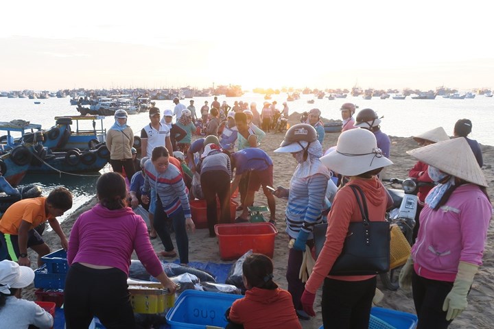 chum anh nhon nhip ben ca buoi rang dong tren dao phu quy