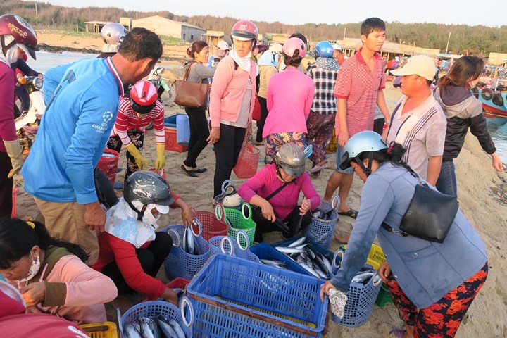 chum anh nhon nhip ben ca buoi rang dong tren dao phu quy