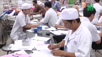 nguoi thu 3 o tphcm tu vong vi cum a h1n1