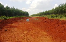 Cây trồng chết khô vì… chờ dời trạm BOT
