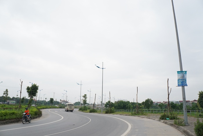 ha noi cay chet hang loat o duong ly son van chua thay the