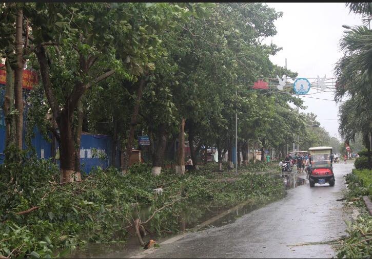 nghe an cay gay do de nhieu o to sau con bao so 2