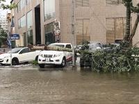 hai sa lan troi dat o bo bien thanh hoa sau bao so 2