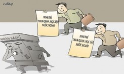 Thanh tra việc cử đoàn đi nước ngoài tại nhiều bộ, địa phương