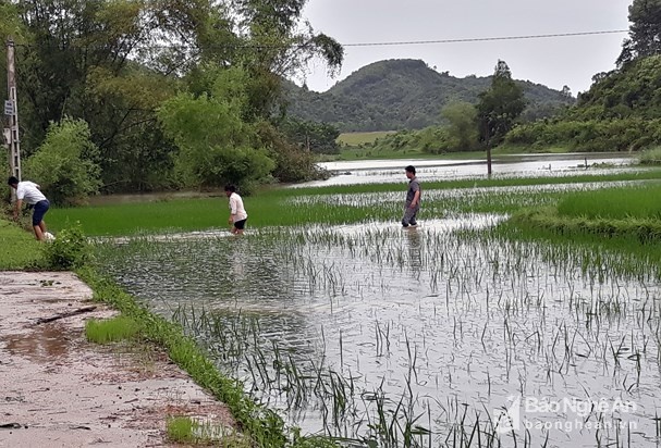 nghe an dung thuyen ruoc dau ngay tren duong lang