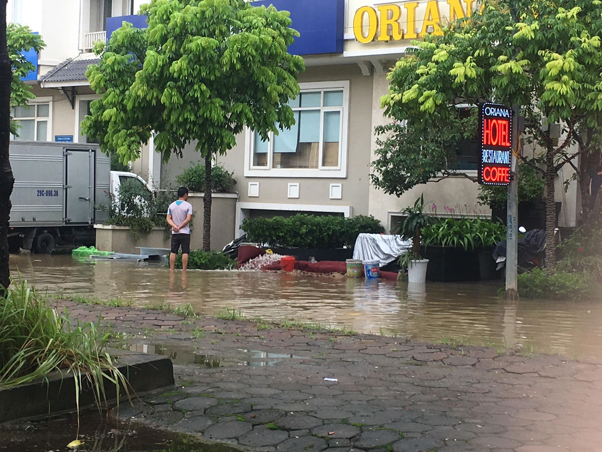 hang loat biet thu ngac ngoai sau con mua lon o ha noi