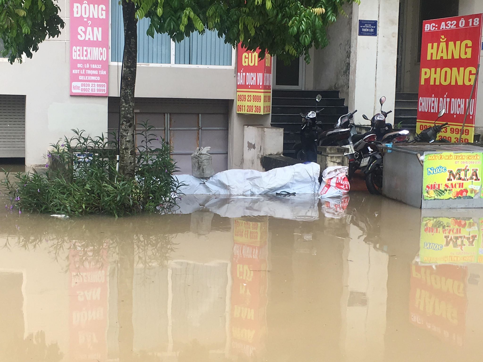 hang loat biet thu ngac ngoai sau con mua lon o ha noi