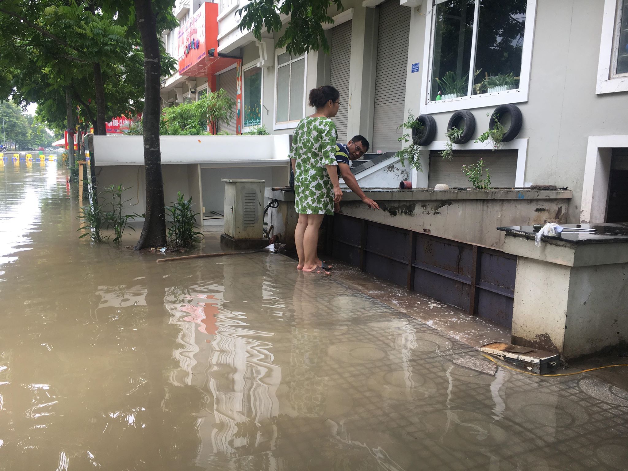 hang loat biet thu ngac ngoai sau con mua lon o ha noi