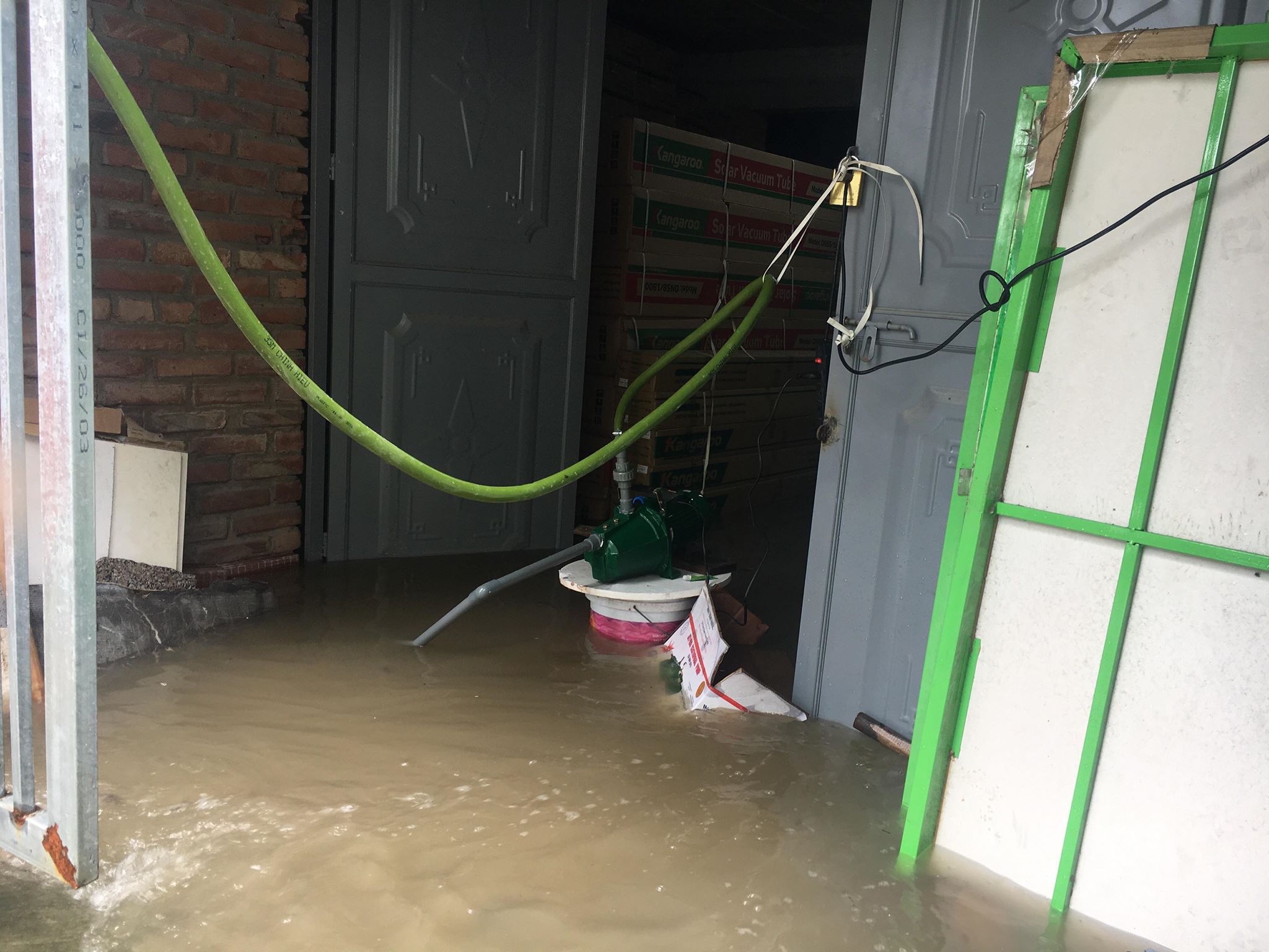 hang loat biet thu ngac ngoai sau con mua lon o ha noi
