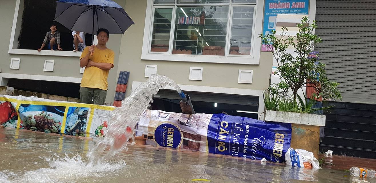 hang loat biet thu ngac ngoai sau con mua lon o ha noi