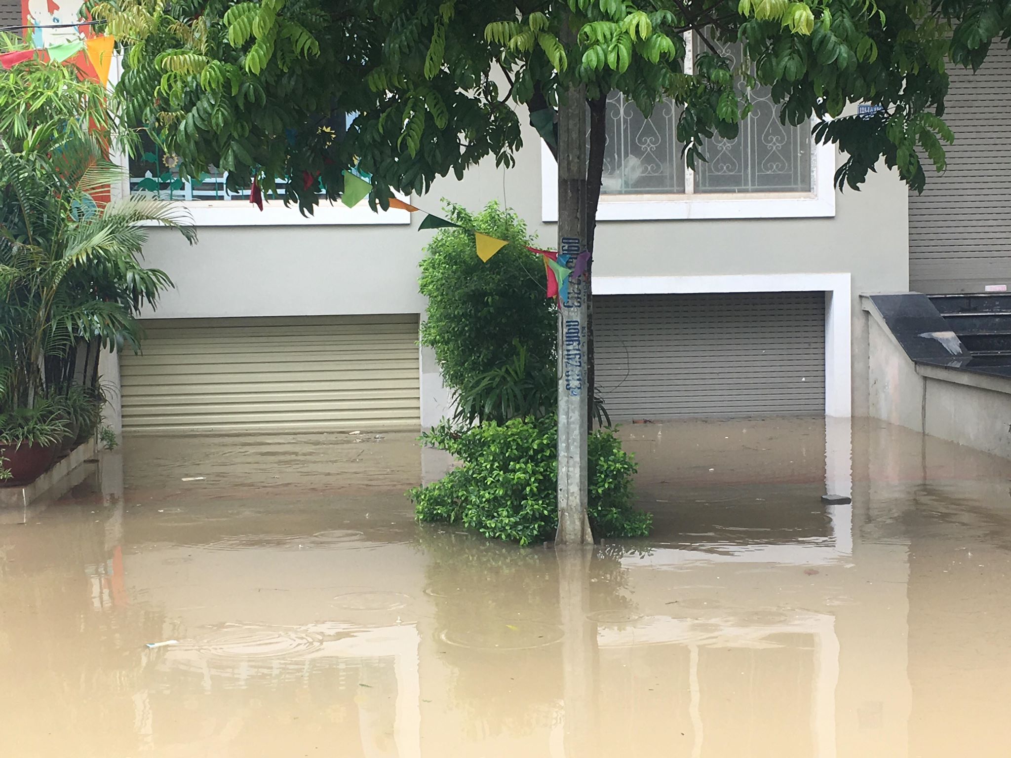 hang loat biet thu ngac ngoai sau con mua lon o ha noi