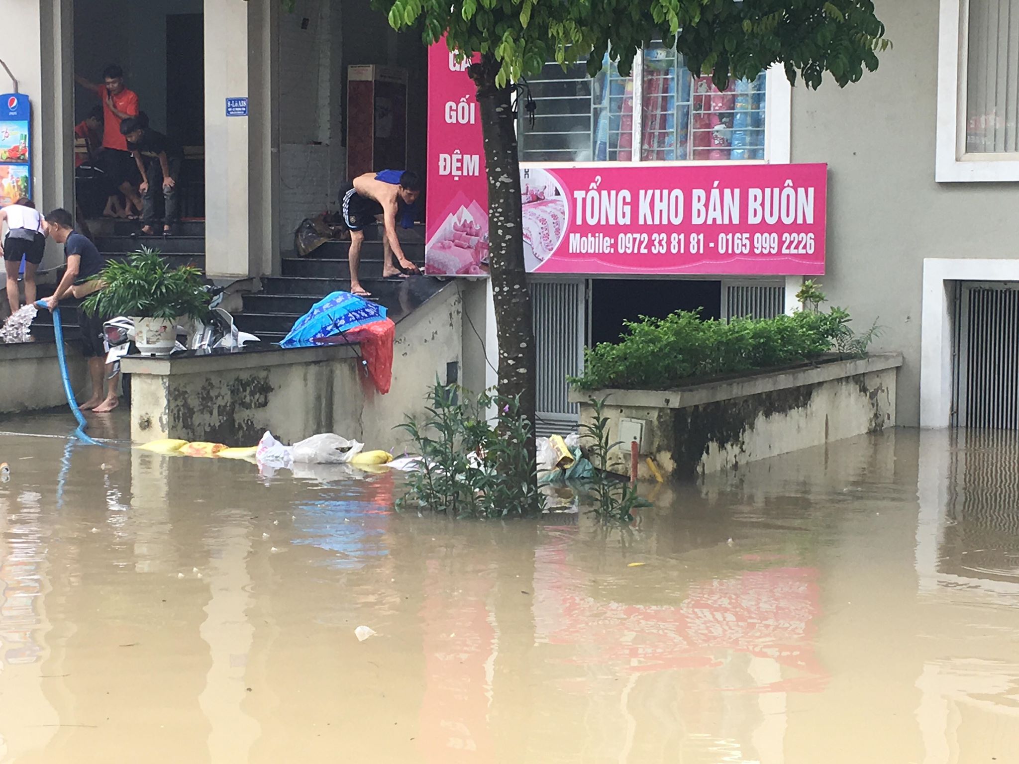 hang loat biet thu ngac ngoai sau con mua lon o ha noi