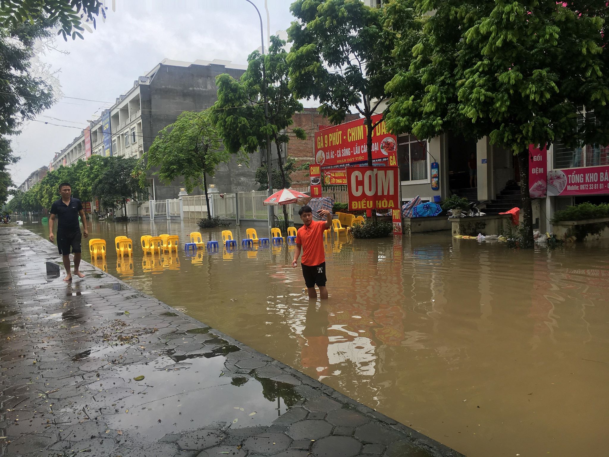 hang loat biet thu ngac ngoai sau con mua lon o ha noi