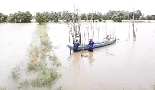 Miền Tây bắt đầu chống chọi với nước lũ từ sự cố vỡ đập ở Lào mien tay bat dau chong choi voi nuoc lu tu su co vo dap o lao