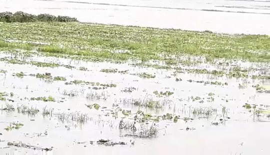 Miền Tây bắt đầu chống chọi với nước lũ từ sự cố vỡ đập ở Lào mien tay bat dau chong choi voi nuoc lu tu su co vo dap o lao