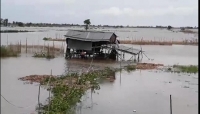 tinh nguoi trong tham hoa o sanamxay